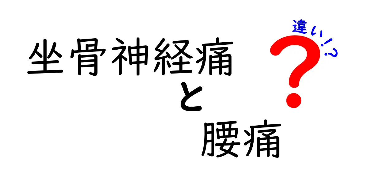 坐骨神経痛と腰痛の違いを徹底解説！痛みの原因と見分け方を中学生にもわかる言葉で