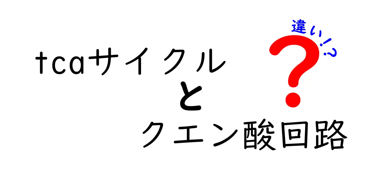 tcaサイクルとクエン酸回路の違いを徹底解説 中学生にもわかるやさしい比較