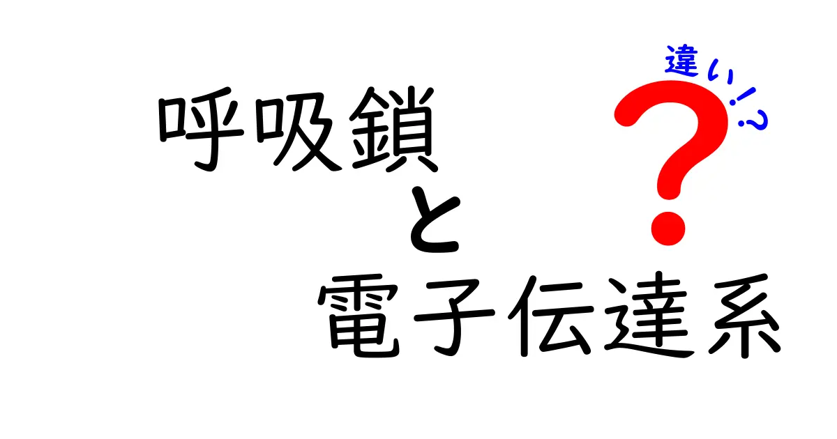呼吸鎖と電子伝達系の違いを一発で理解!中学生にもわかるやさしい解説