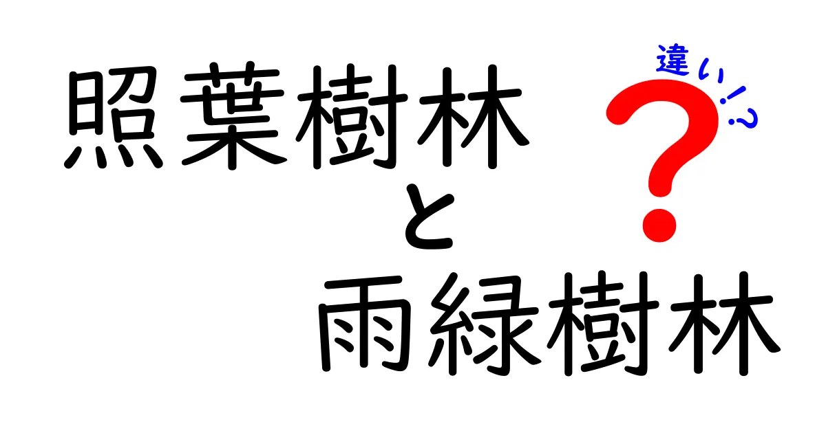 照葉樹林と雨緑樹林の違いをざっくり解説!中学生にも伝わる森の基礎講座