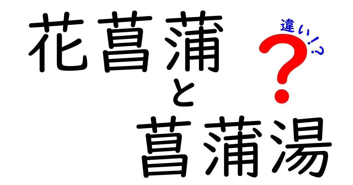 花菖蒲と菖蒲湯の違いを徹底解説!花の美しさとお風呂の伝統をやさしく理解しよう