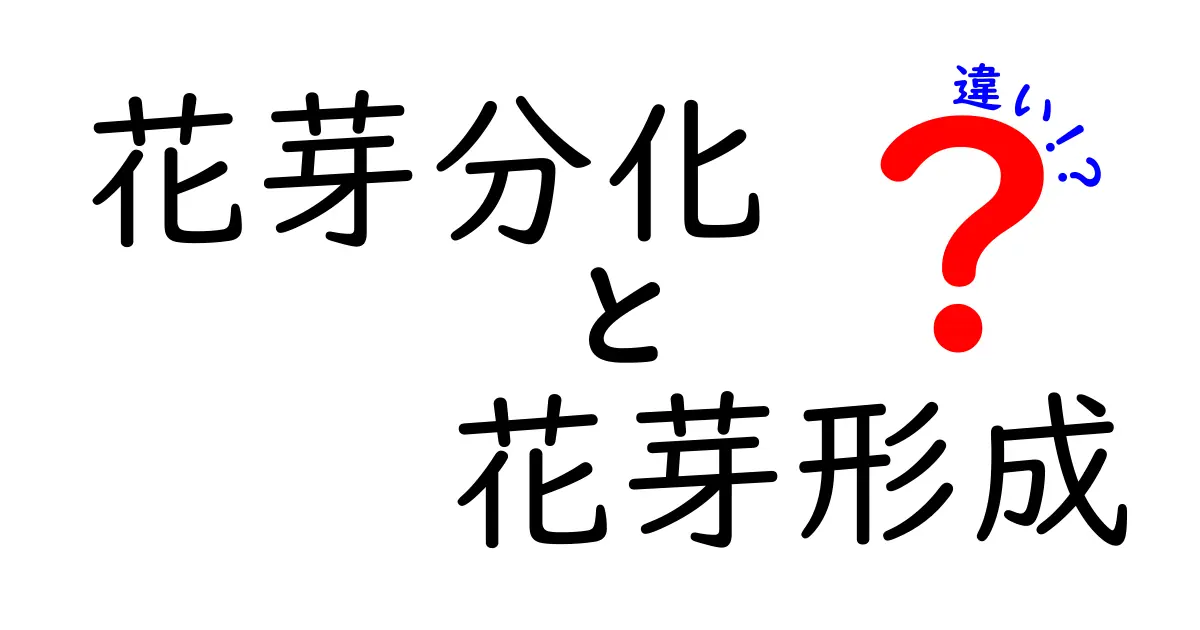 花芽分化と花芽形成の違いを徹底解説｜中学生にもわかる植物の成長ステップ