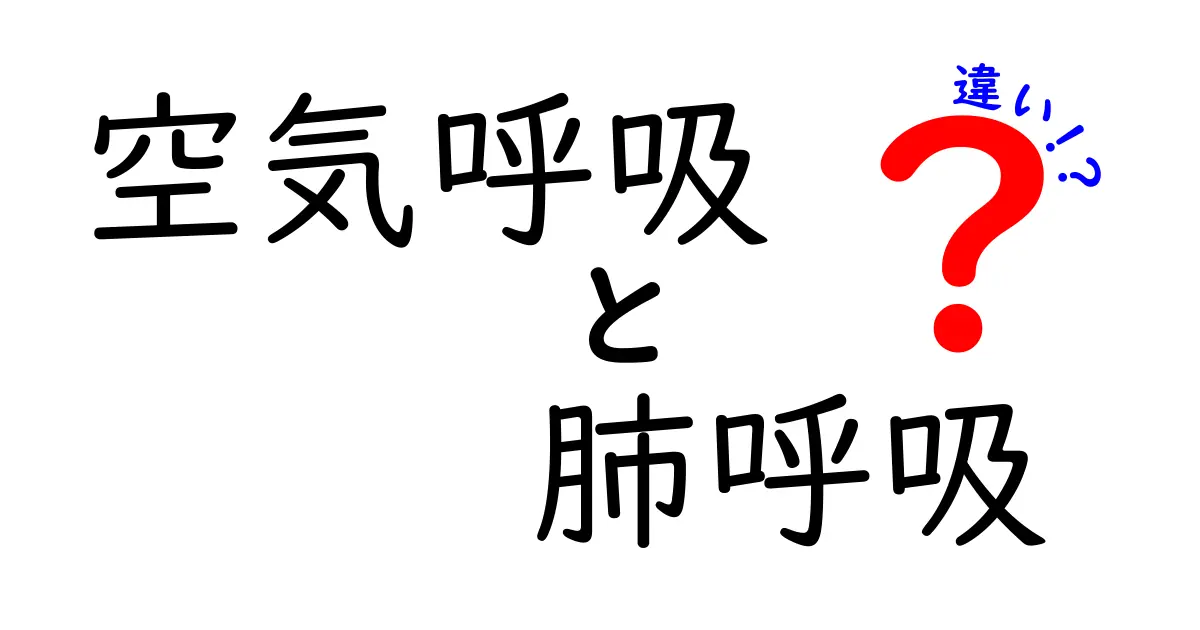 空気呼吸と肺呼吸の違いをわかりやすく解説！中学生にも伝えたいポイント