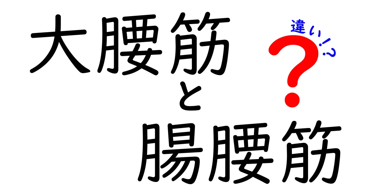 大腰筋と腸腰筋の違いを徹底解説！体幹を支える2つの筋肉をやさしく理解しよう