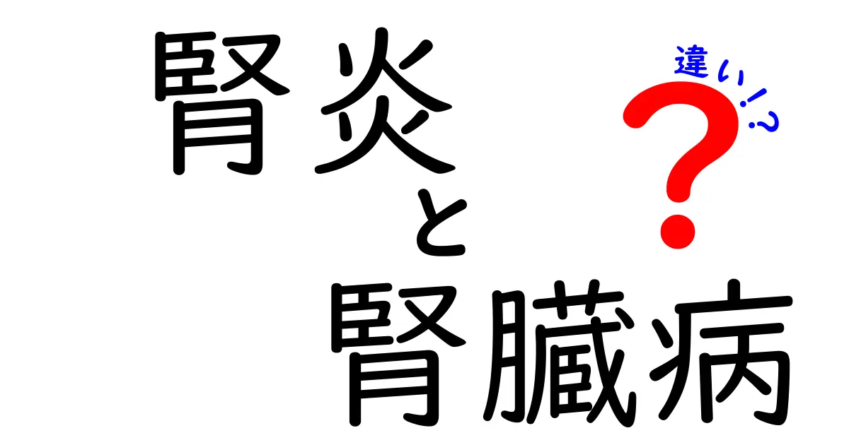 腎炎　腎臓病　違いを徹底解説：見分け方と日常ケアのコツ