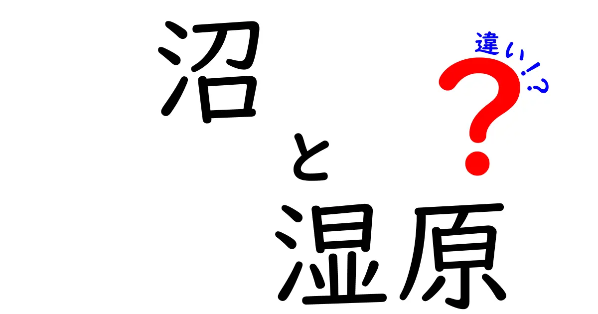 沼と湿原の違いをすっきり解説!自然がくれる水辺の謎と生き物たちの秘密