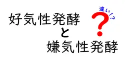 好気性発酵と嫌気性発酵の違いを分かりやすく解説！実例と図で徹底理解
