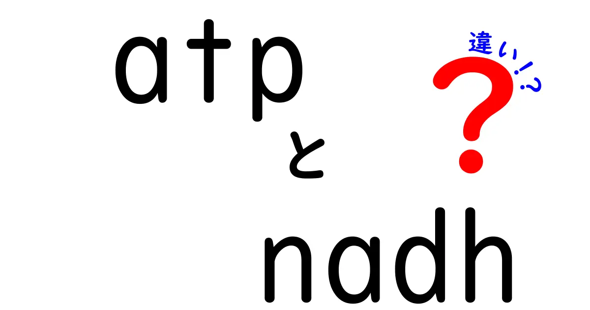ATPとNADHの違いを徹底解説!中学生にもわかる生化学の基本とエネルギーの流れ