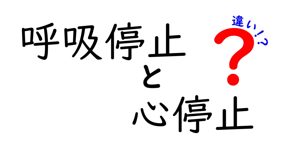 呼吸停止と心停止の違いをまるごと解説!見分け方と応急処置を中学生にもわかりやすく