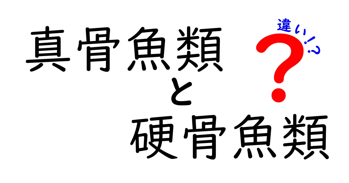 真骨魚類と硬骨魚類の違いをわかりやすく解説!中学生にも伝わる用語の本当の意味