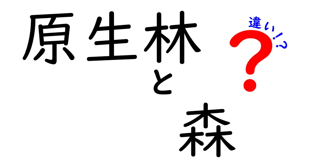 原生林と森の違いを徹底解説:中学生にも分かる3つのポイント