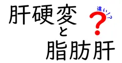 肝硬変と脂肪肝の違いを徹底解説:原因・症状・治療を中学生にも分かる言葉で