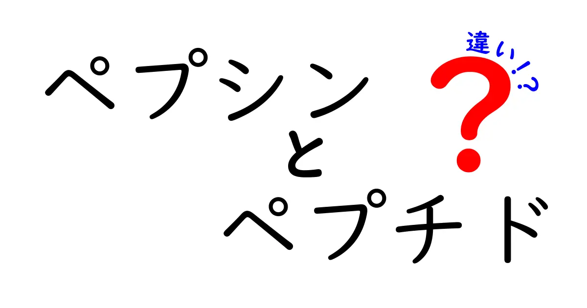 ペプシンとペプチドの違いを徹底解説|酵素と分子の基本を中学生にもわかる解説