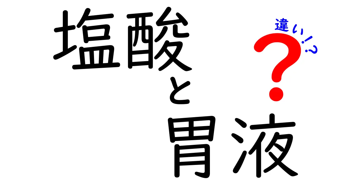 塩酸と胃液の違いをわかりやすく解説!中学生にも伝わる図解つきガイド