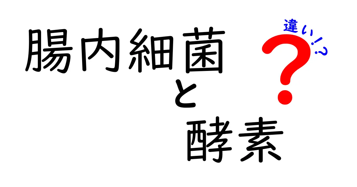 腸内細菌と酵素の違いを徹底解説!体の仕組みをつなぐ鍵をわかりやすく学ぶ