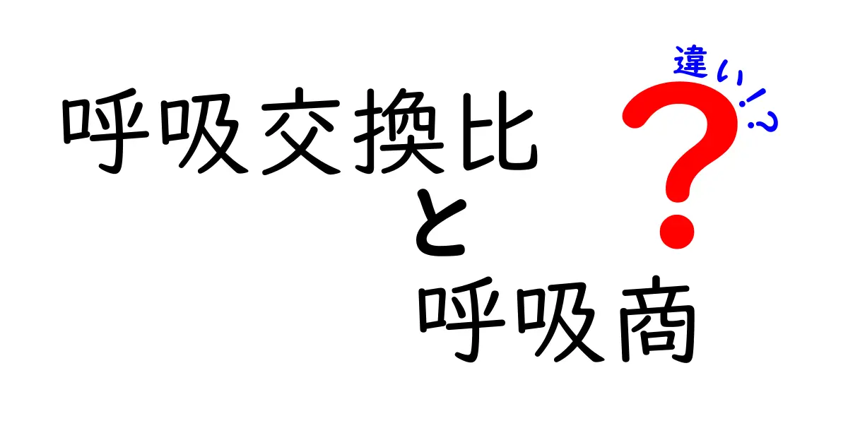 呼吸交換比と呼吸商の違いを徹底解説:中学生にもわかるポイントと図解付き解説