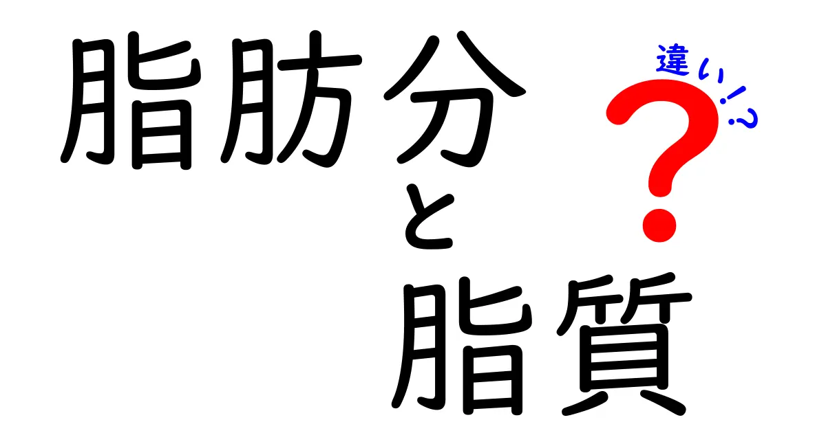 脂肪分と脂質の違いを徹底解説!中学生にも伝わるやさしいポイント