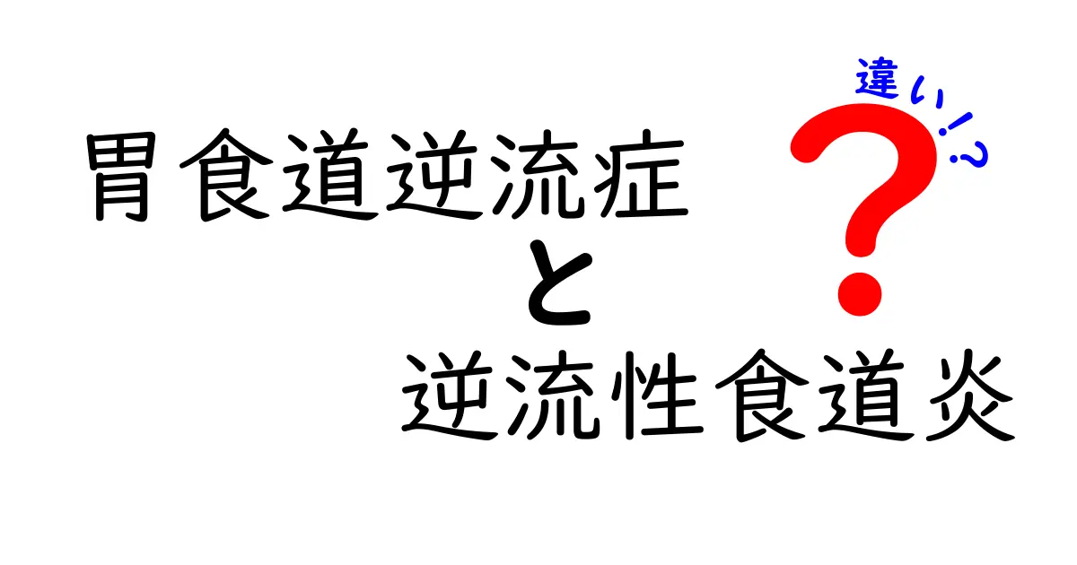 胃食道逆流症と逆流性食道炎の違いを徹底解説|症状・原因・治療のポイント
