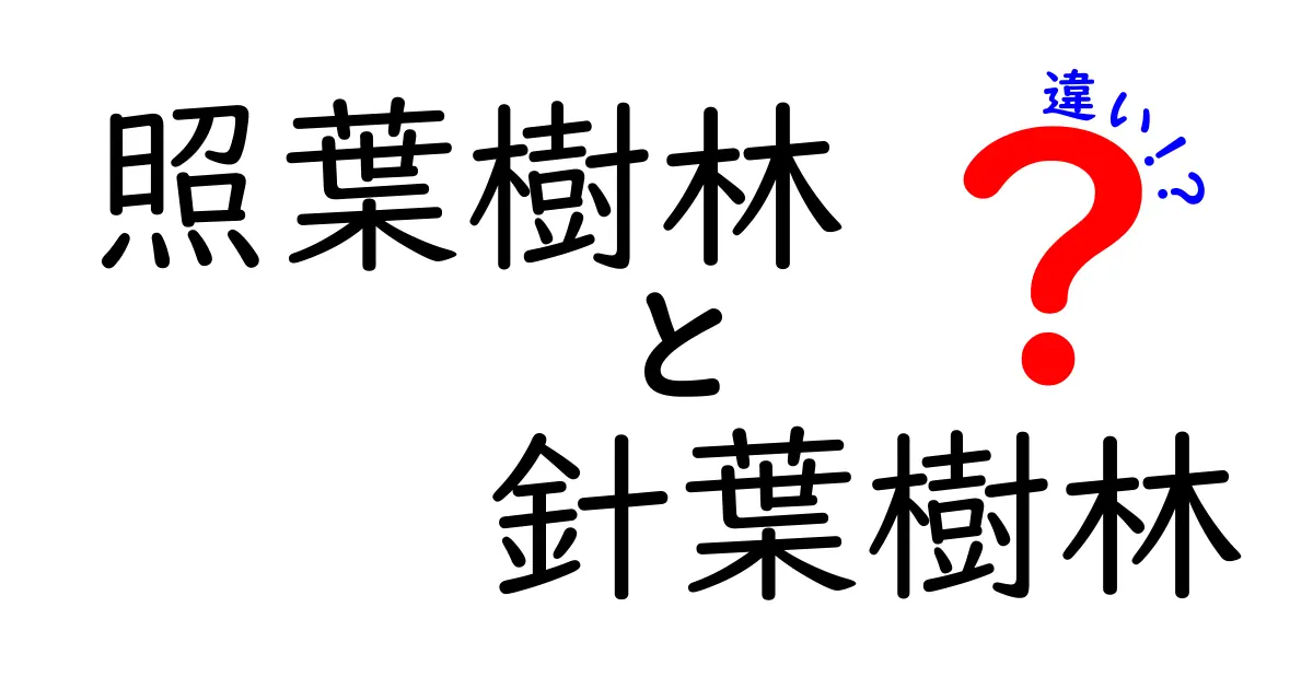 照葉樹林と針葉樹林の違いをやさしく解説：地理・生態を丸ごと比較