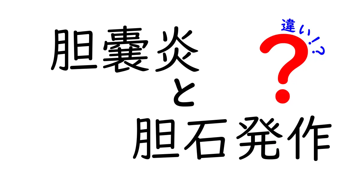 胆嚢炎と胆石発作の違いを解く！症状・原因・治療を徹底比較してわかりやすく解説