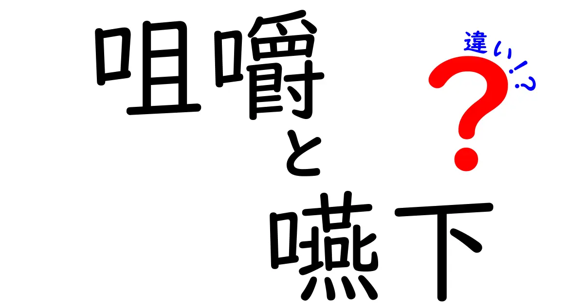 咀嚼と嚥下の違いを徹底解説 食事の仕組みを知ろう