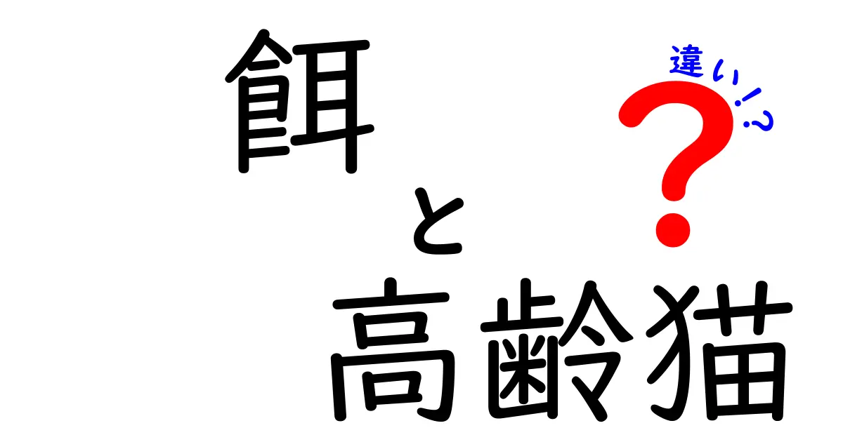高齢猫の餌の違いを徹底解説!年齢別の餌選びと長生きの秘訣