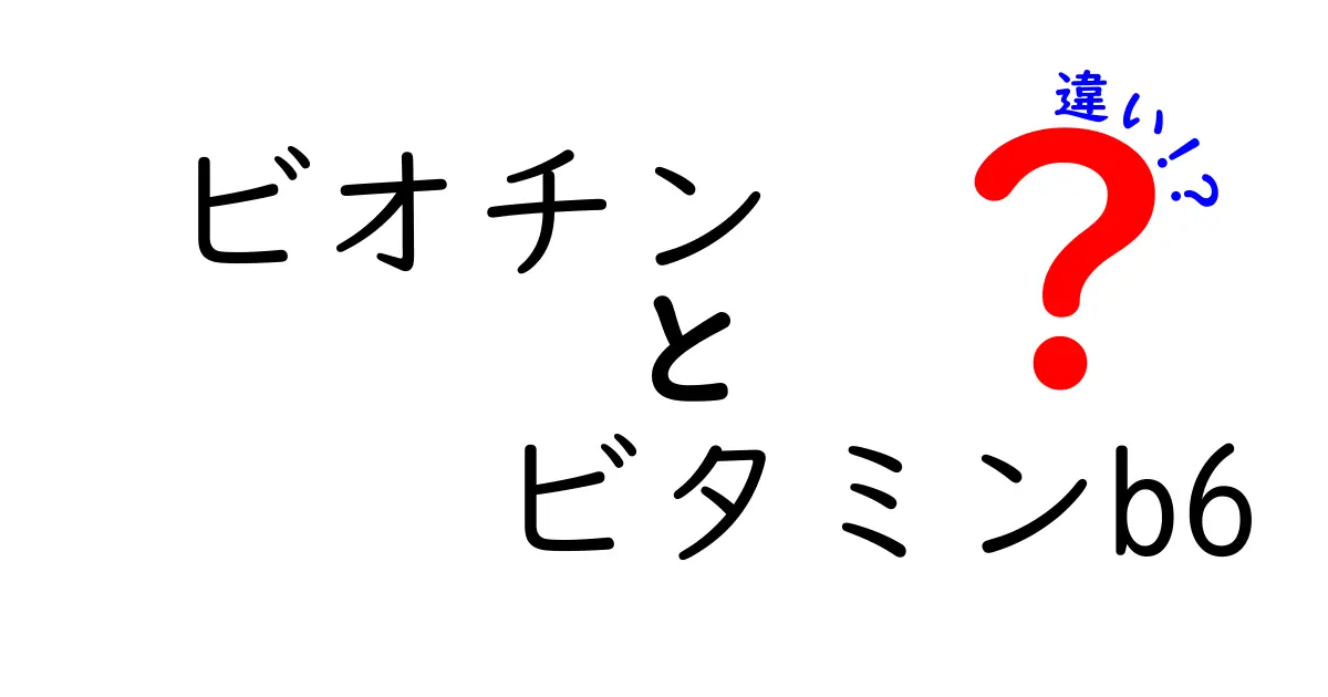 ビオチンとビタミンB6の違いを徹底解説！どちらを選ぶべき？初心者にもわかる図解付き