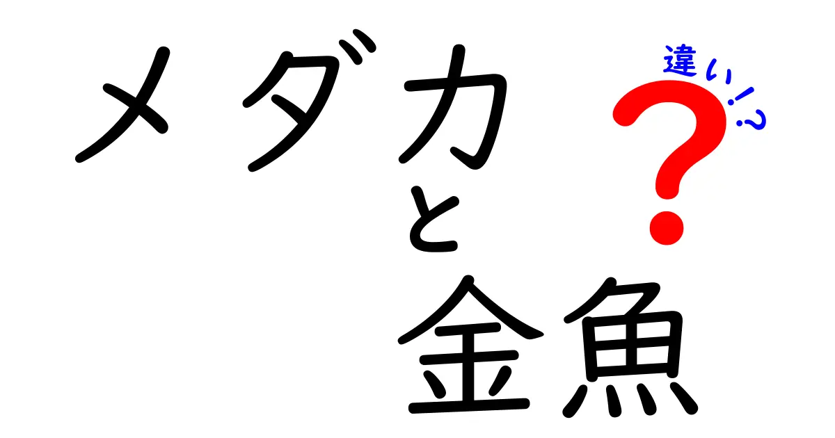 メダカと金魚の違いを徹底比較!飼育初心者が押さえる3つのポイントと見分け方
