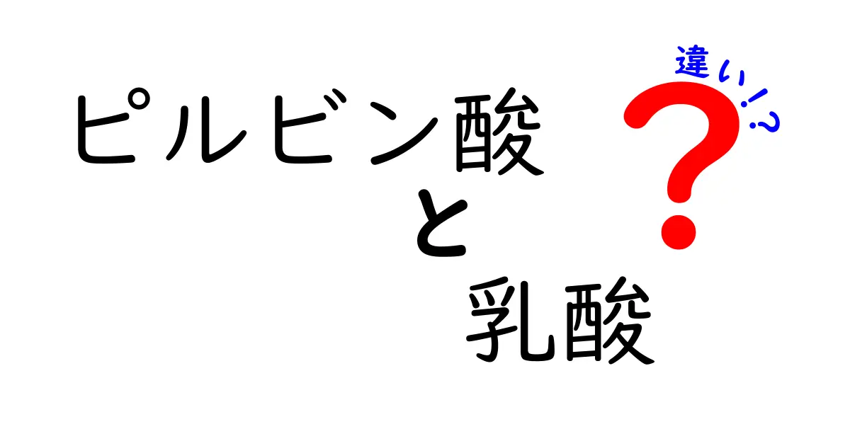 ピルビン酸と乳酸の違いをやさしく解説!体のエネルギー代謝をわかりやすく理解するコツ