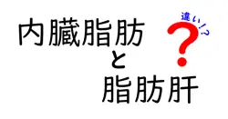 内臓脂肪と脂肪肝の違いを徹底解説！今日から実践できる見分け方と対策