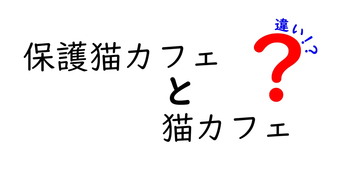保護猫カフェと猫カフェの違いを徹底解説|体験のコツと選び方を分かりやすく解説