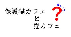保護猫カフェと猫カフェの違いを徹底解説｜体験のコツと選び方を分かりやすく解説