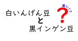 白いんげん豆と黒インゲン豆の違いとは？栄養・味・使い方をわかりやすく徹底比較