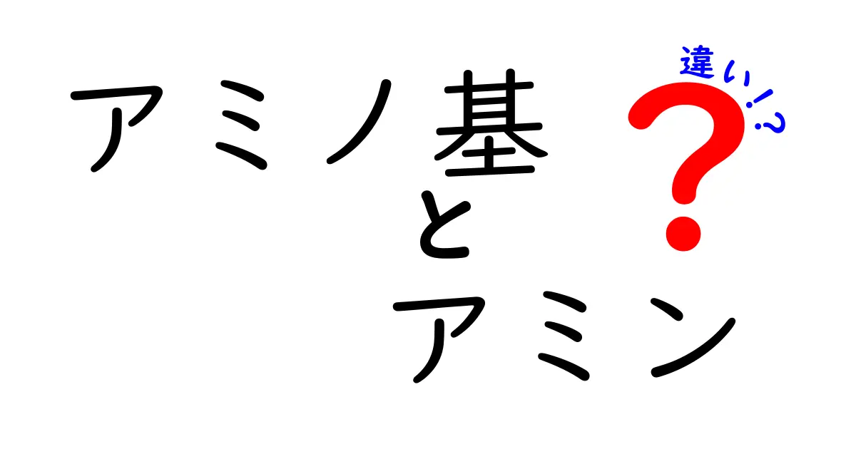 アミノ基とアミンの違いを徹底解説!中学生にもわかる科学入門