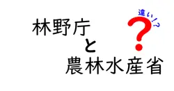 林野庁と農林水産省の違いをわかりやすく解説!誰が何を管轄しているのかを中学生にも伝える