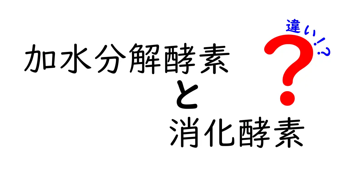 加水分解酵素と消化酵素の違いを徹底解説!中学生にも伝わるわかりやすさ