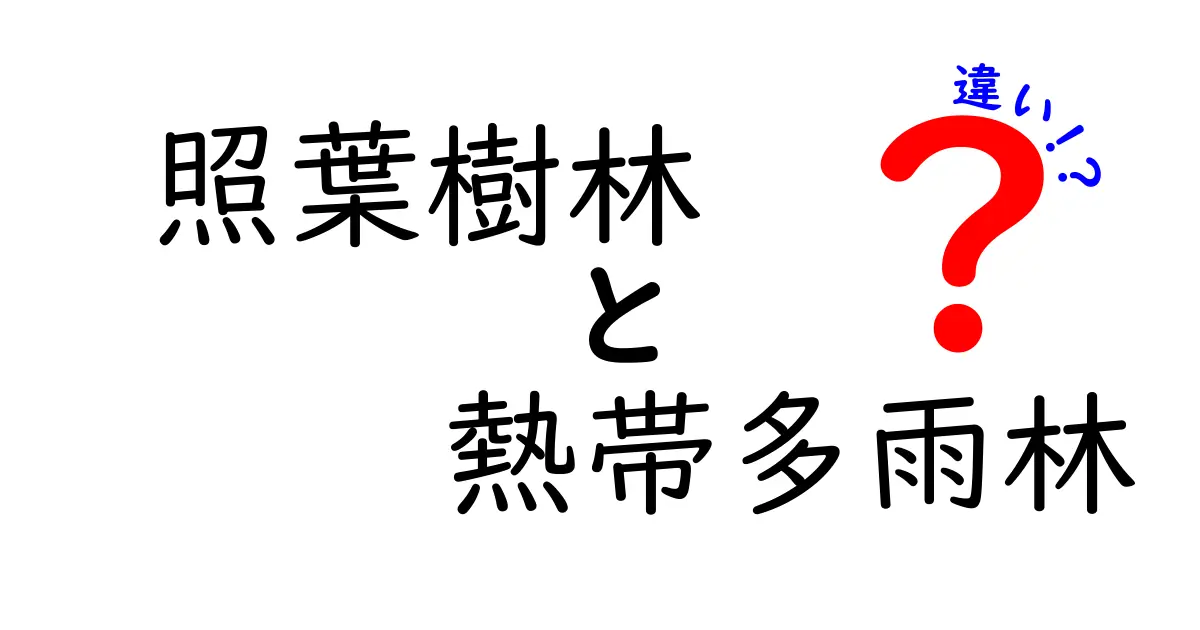 照葉樹林と熱帯多雨林の違いを徹底解説:気候・生態・人間活動のポイントを中学生にもわかりやすく