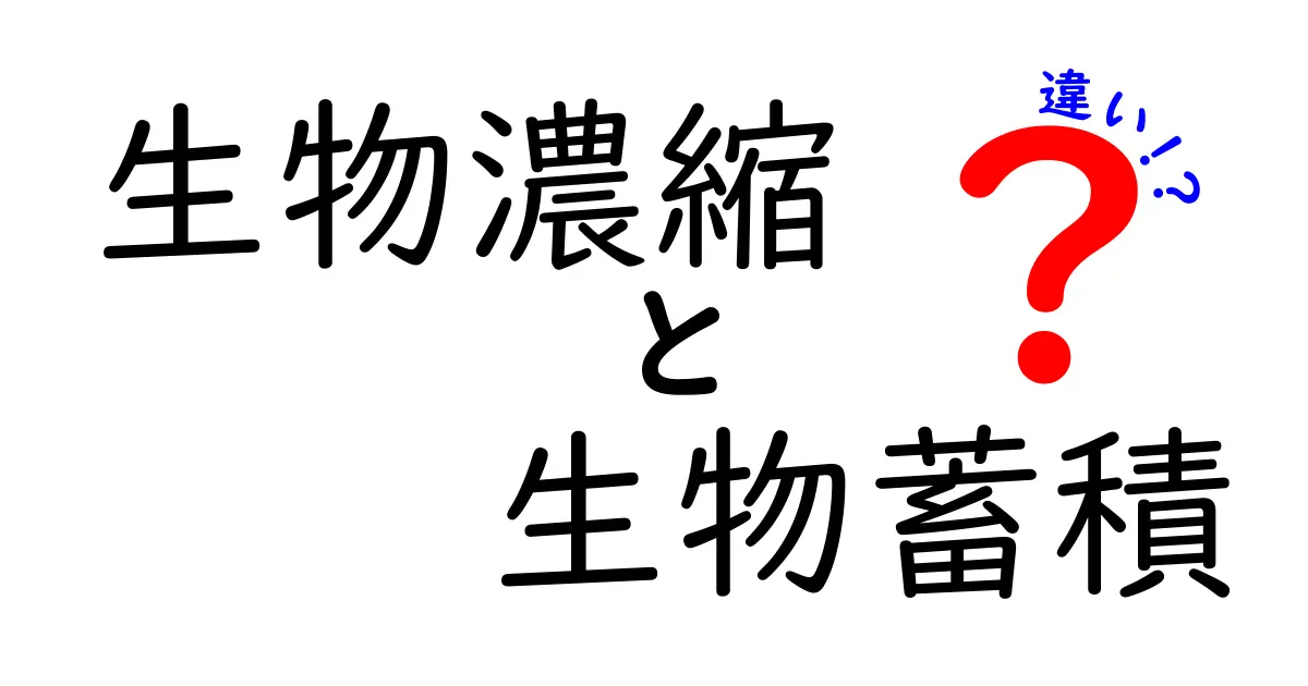生物濃縮と生物蓄積の違いを徹底解説|中学生にもわかる実例で学ぶ