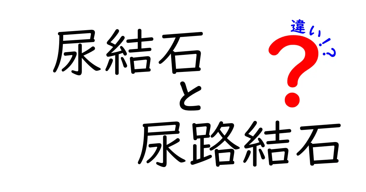 尿結石と尿路結石の違いを徹底解説!どこが違うのかを中学生にも分かりやすく