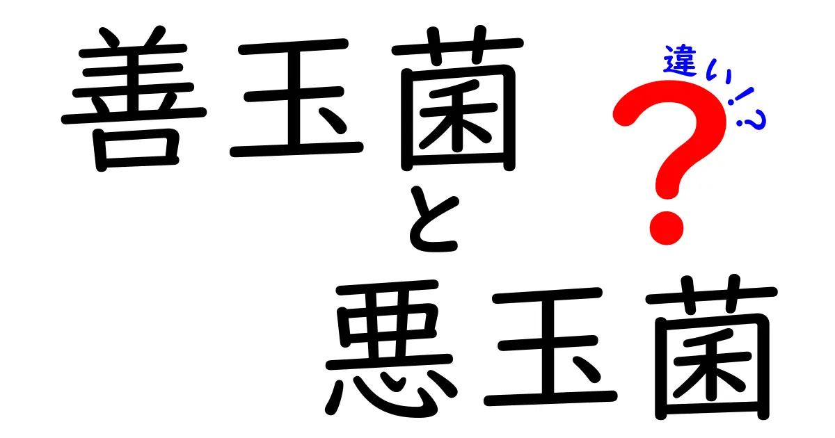 善玉菌と悪玉菌の違いを徹底解説!体を守る菌と敵になる菌の正体を知ろう