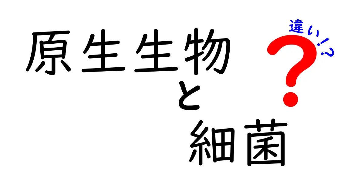 原生生物と細菌の違いをわかりやすく解説!中学生にも伝わる基本のポイント