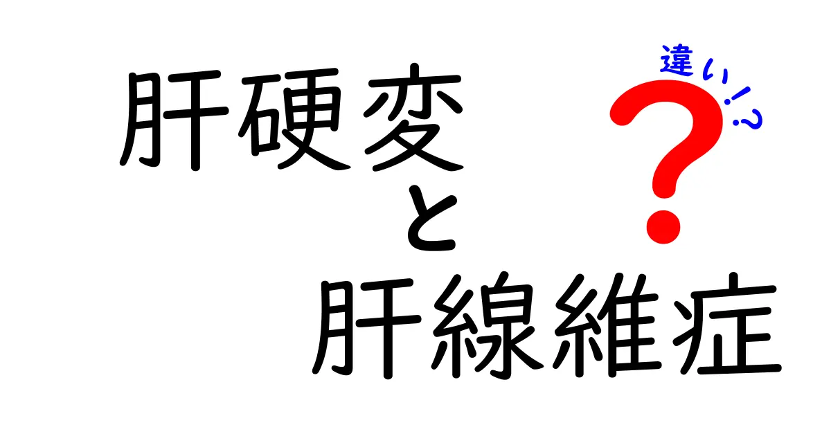 肝硬変と肝線維症の違いをやさしく解説！見分け方と進行のリスクを徹底比較