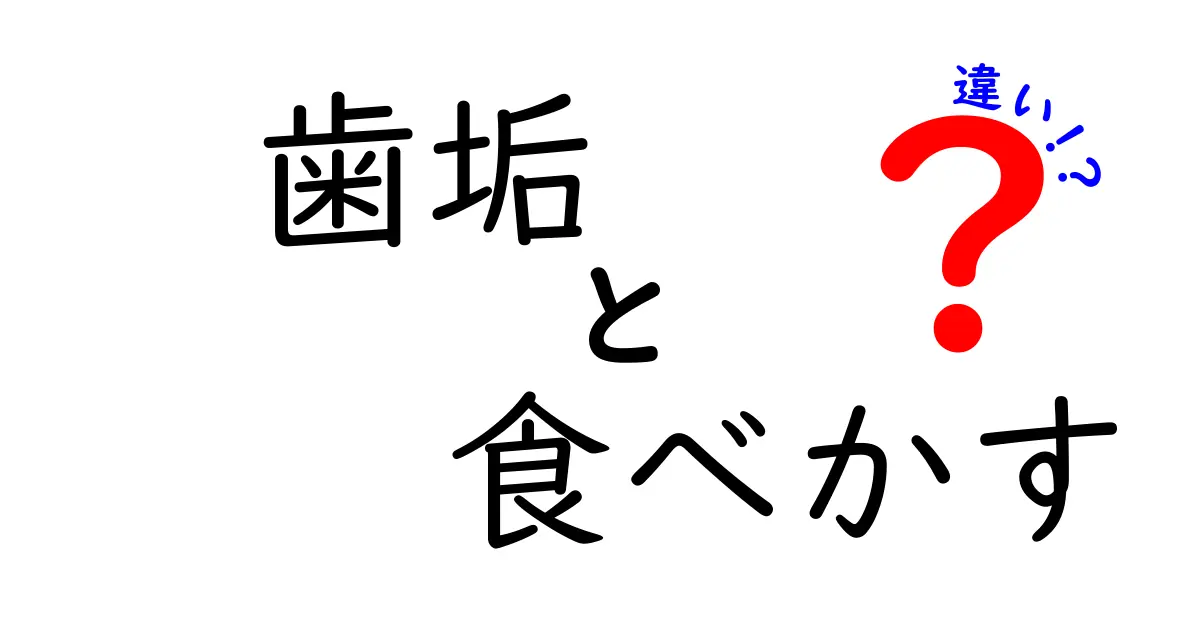 歯垢と食べかすの違いを徹底解説!見逃しがちなポイントと正しいケア