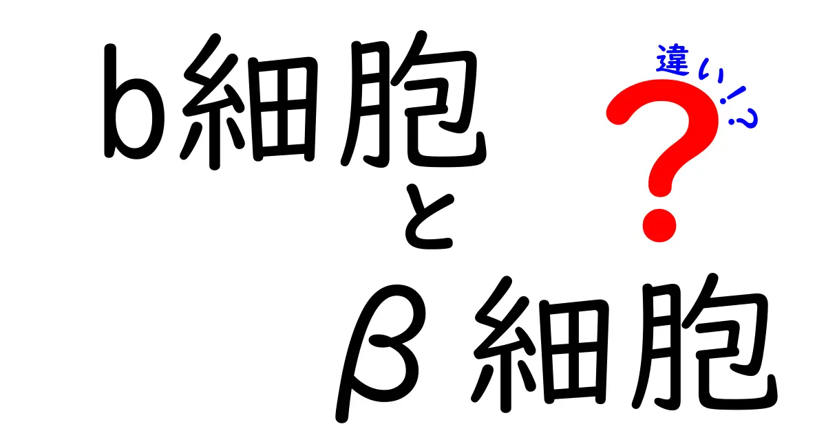b細胞とβ細胞の違いを徹底解説!免疫と内分泌の違いを中学生にもわかるように解説