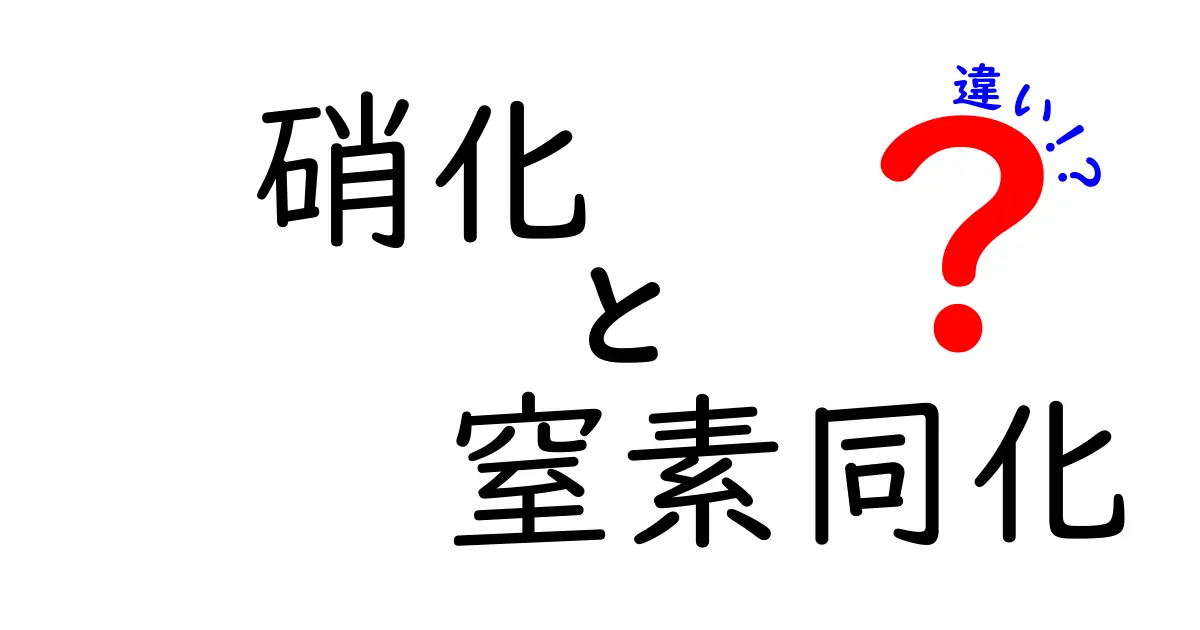 硝化と窒素同化の違いを一目で理解！中学生にも分かる窒素サイクルの基礎講座