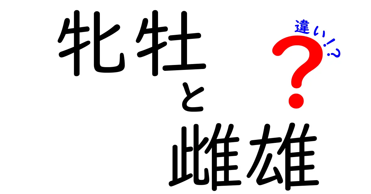 牝牡と雌雄の違いをやさしく解説!日常での使い分けまで徹底ガイド