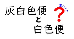灰白色便と白色便の違いを徹底解説！原因・症状・受診のタイミングがわかる中学生向けガイド
