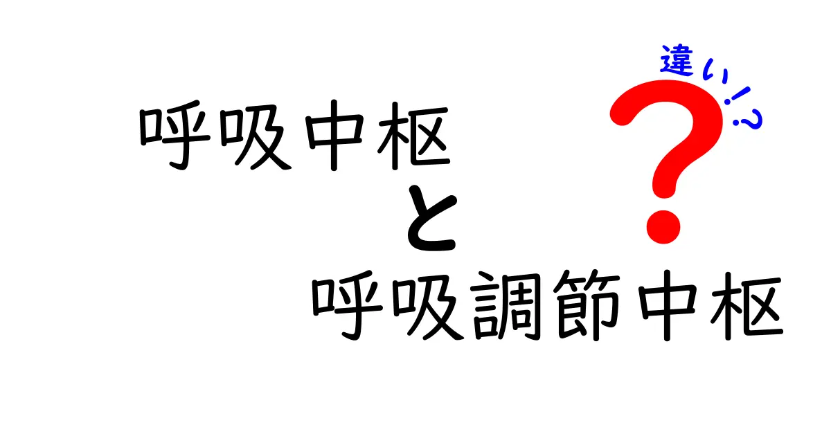 呼吸中枢と呼吸調節中枢の違いをわかりやすく解説—体の呼吸を動かす2つの指揮官