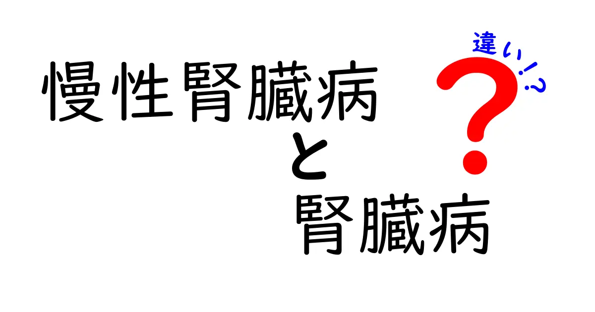 慢性腎臓病と腎臓病の違いをわかりやすく解説｜中学生にも伝わる基本と予防のポイント
