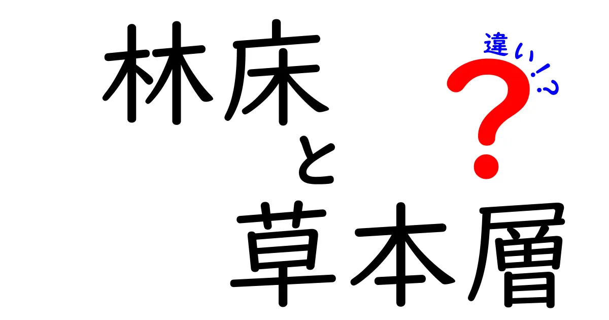 林床と草本層の違いを徹底解説!森林の地面に眠る秘密を知ろう